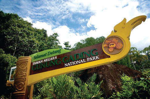 gunung gading national park