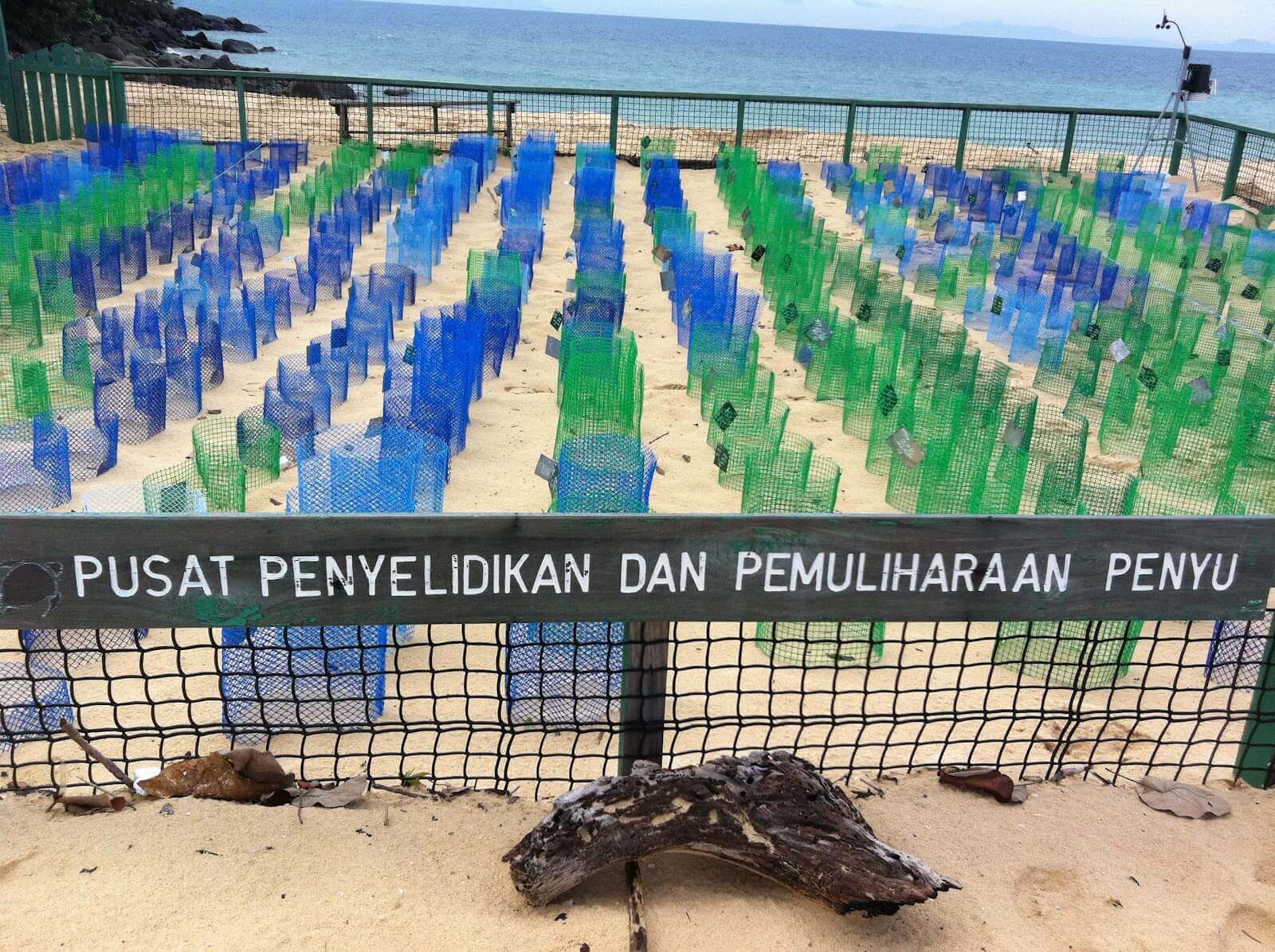 5 Taman Negara Di Kuching Yang Anda Boleh Lawati