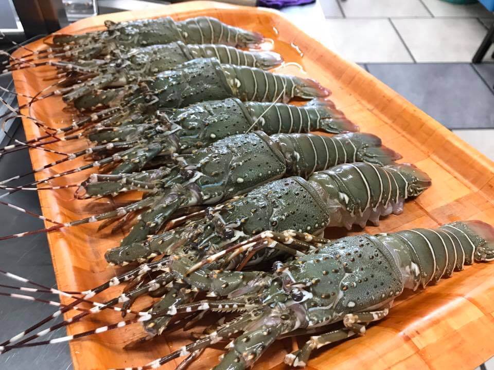 Nikmati Lobster Gergasi Di Hochiak Lobster Sarawak Laksa