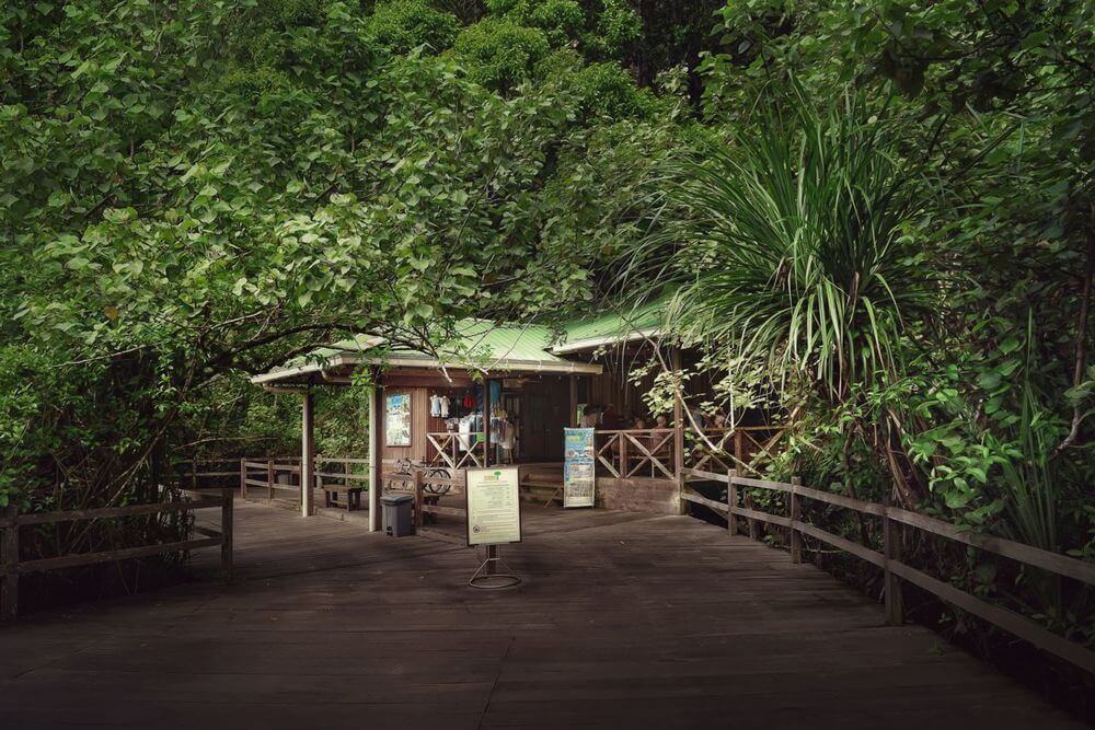 3 Resort Dalam Hutan Hujan Tropika Yang Anda Perlu Cuba Di Sarawak 3 Resort Dalam Hutan Hujan Tropika Yang Anda Perlu Cuba Di Sarawak