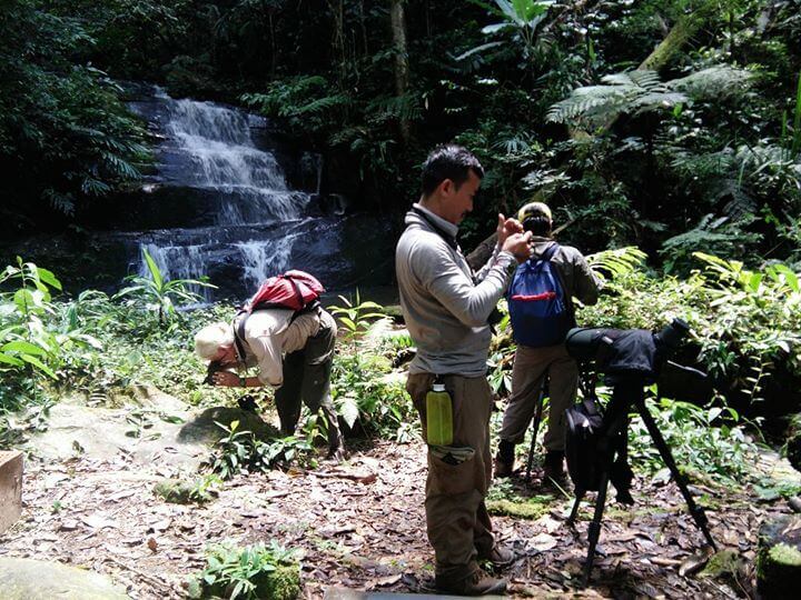 10 Aktiviti Menarik Jika Anda Berkunjung Ke Bario Sarawak 10 Aktiviti Menarik Jika Anda Berkunjung Ke Bario Sarawak