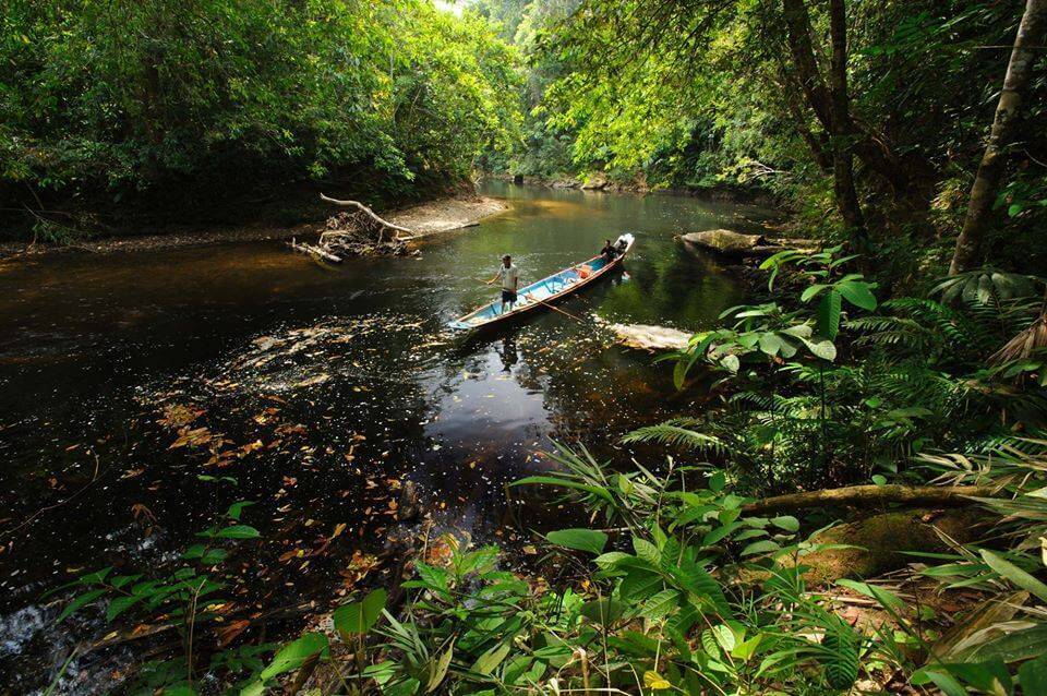 3 Taman Negara Yang Anda Perlu Kunjungi Jika Pergi Ke Sarawak