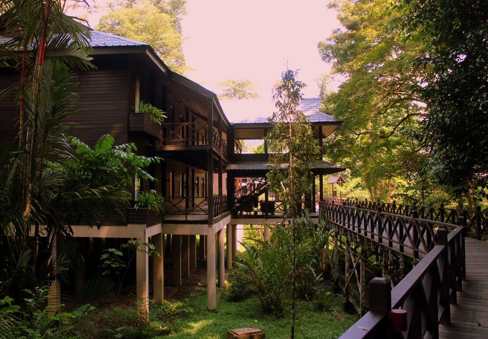 3 Resort Dalam Hutan Hujan Tropika Yang Anda Perlu Cuba Di Sarawak 3 Resort Dalam Hutan Hujan Tropika Yang Anda Perlu Cuba Di Sarawak