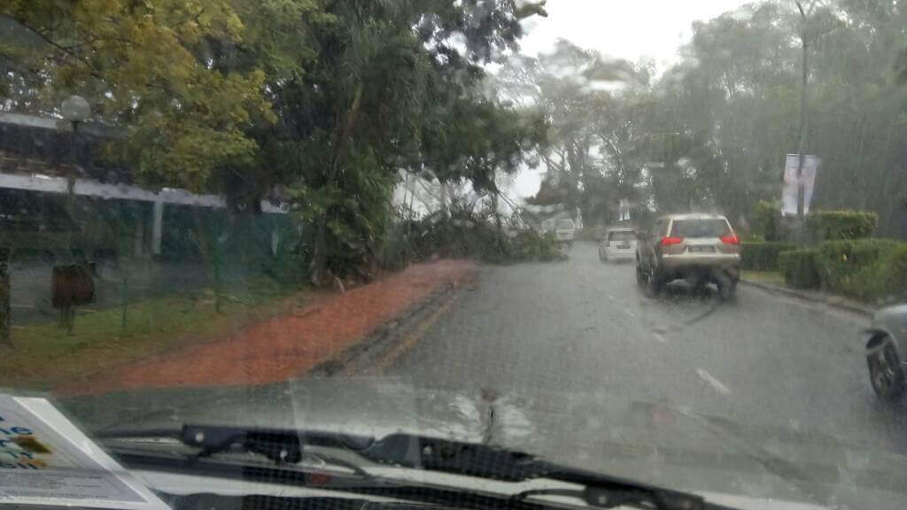 Angin Kencang Akibatkan Banyak Pokok Tumbang Di Kuching, Juga Rosakkan Kawasan Dalam Pembinaan