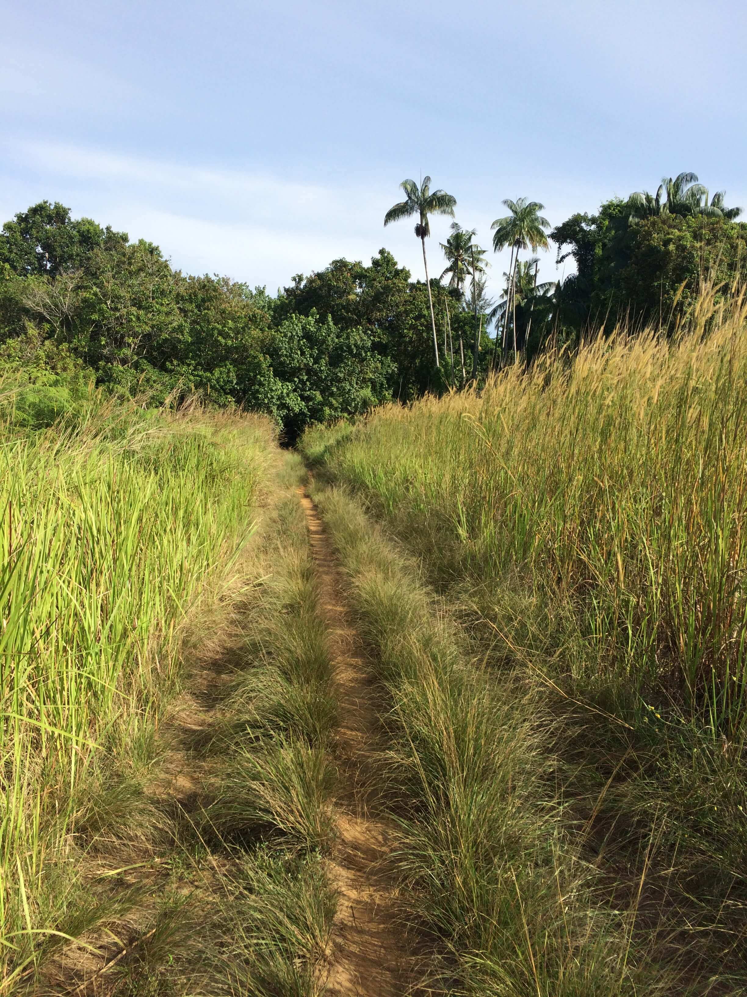 Travelog Ke Bukit Gondol, Tempat Mendaki Terbaru Di Lundu