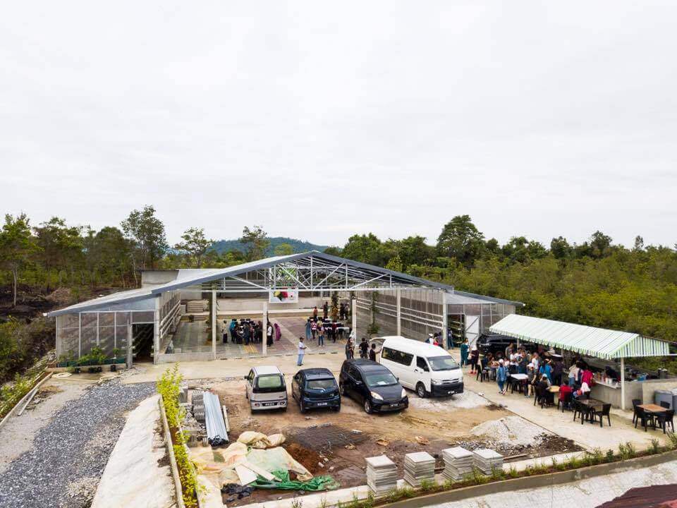 Percaya Atau Tidak, Kini Terdapat Ladang Strawberry Di Kuching!