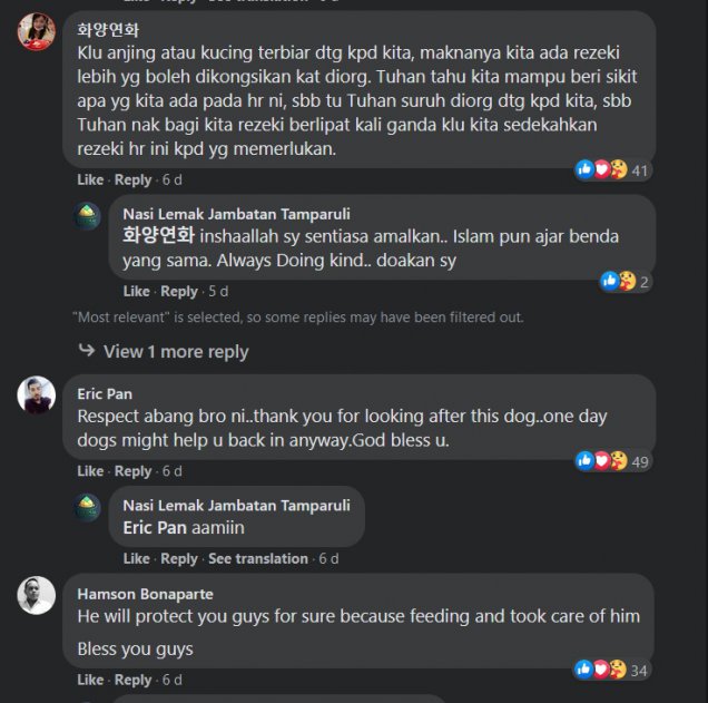 Tular Anjing Beratur 'Beli' Nasi Lemak Di Kuching, Netizen Puji Sikap Pemilik Gerai