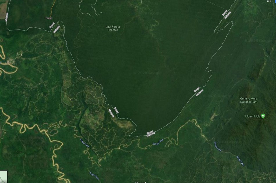 Perbezaan Ketara Hutan Di Sarawak Dan Brunei, Lihat Imej Mengejutkan Dari NASA Ini