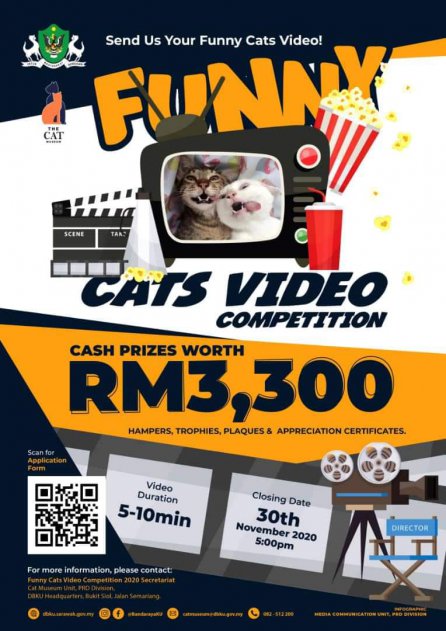 Ketahui Cara Untuk Dapatkan Habuan Lumayan Hanya Dengan Video Kucing Kesayangan Anda