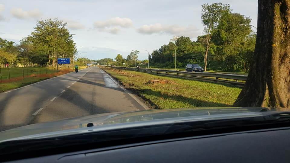 Ini Rupanya Sebab Mengapa Pokok Angsana, Mercu Tanda Petrajaya Ditebang